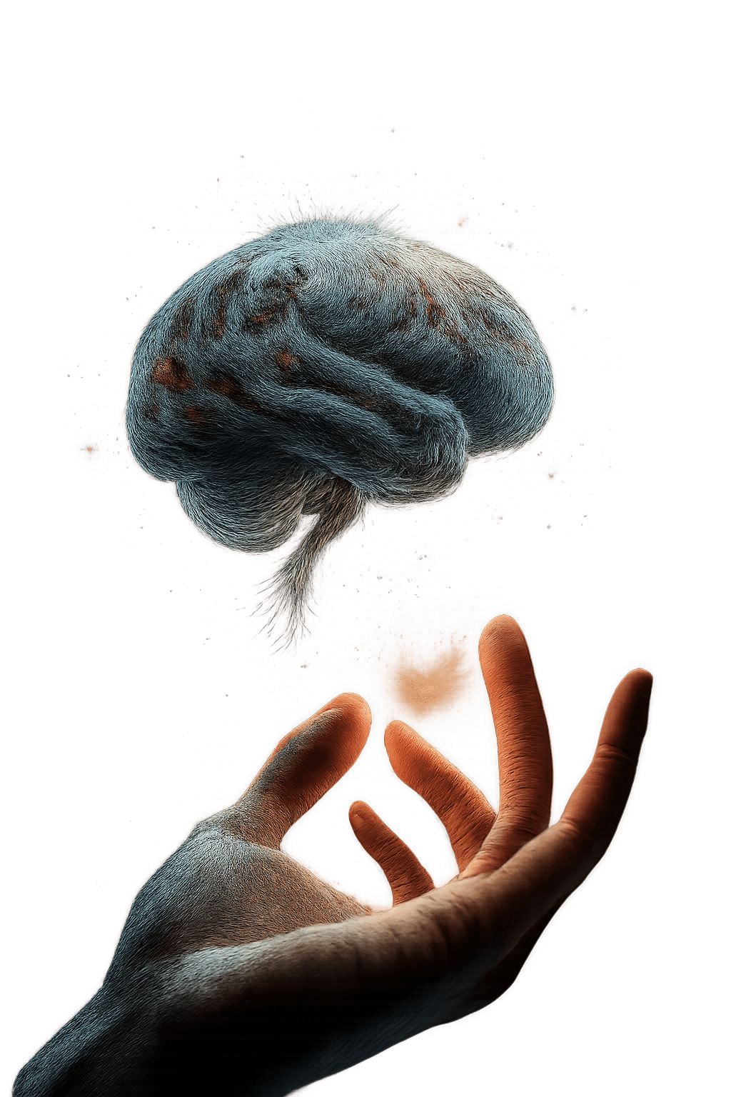 Why choose our web development services